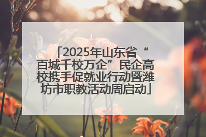 2025年山东省“百城千校万企”民企高校携手促就业行动暨潍坊市职教活动周启动
