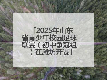 2025年山东省青少年校园足球联赛（初中争冠组）在潍坊开赛