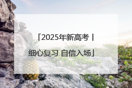 2025年新高考丨细心复习 自信入场