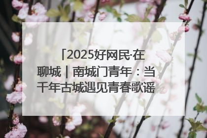 2025好网民·在聊城｜南城门青年：当千年古城遇见青春歌谣 一湖碧水见证的“聊城式浪漫”
