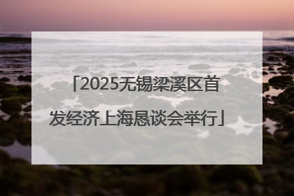 2025无锡梁溪区首发经济上海恳谈会举行
