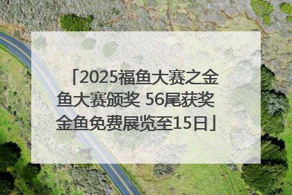 2025福鱼大赛之金鱼大赛颁奖 56尾获奖金鱼免费展览至15日