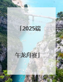 2025端午龙舟赛