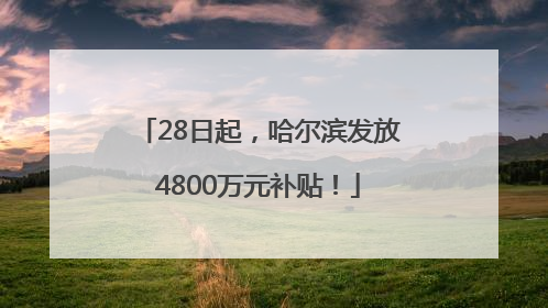 28日起，哈尔滨发放4800万元补贴！