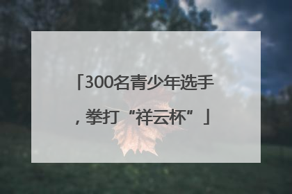 300名青少年选手，拳打“祥云杯”