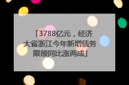 3788亿元，经济大省浙江今年新增债务限额同比涨两成