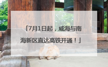 7月1日起，威海与南海新区直达高铁开通！