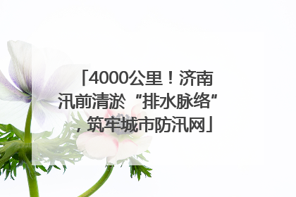 4000公里！济南汛前清淤“排水脉络”，筑牢城市防汛网
