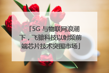5G 与物联网浪潮下，飞骧科技以射频前端芯片技术突围市场