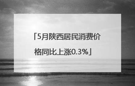 5月陕西居民消费价格同比上涨0.3%
