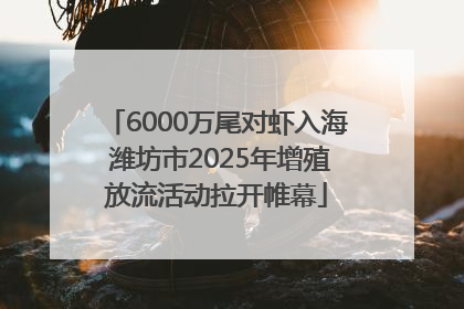 6000万尾对虾入海 潍坊市2025年增殖放流活动拉开帷幕