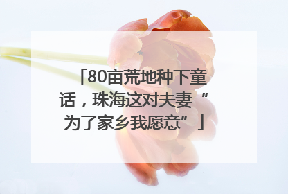 80亩荒地种下童话，珠海这对夫妻“为了家乡我愿意”