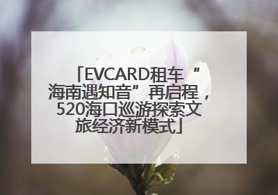 EVCARD租车“海南遇知音”再启程，520海口巡游探索文旅经济新模式