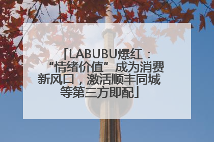 LABUBU爆红：“情绪价值”成为消费新风口，激活顺丰同城等第三方即配