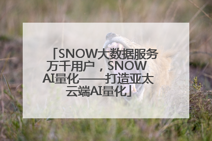 SNOW大数据服务万千用户，SNOW AI量化——打造亚太云端AI量化